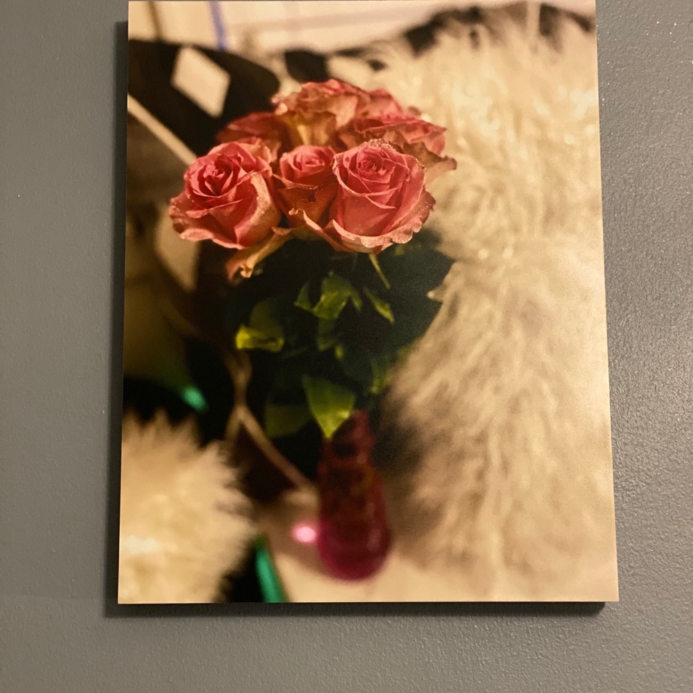11 x 14 Honeymoon Roses photograph by Ashley Miles